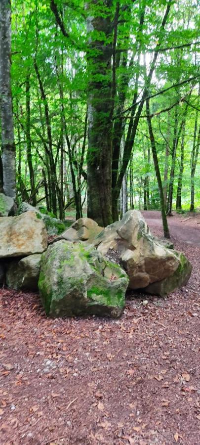 Gite Vallee Verte Burdignin エクステリア 写真